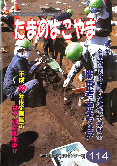 たまのよこやま114号