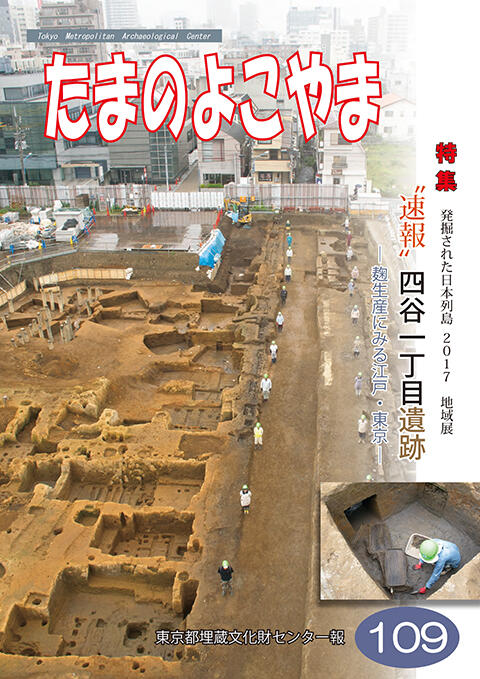 たまのよこやま109号