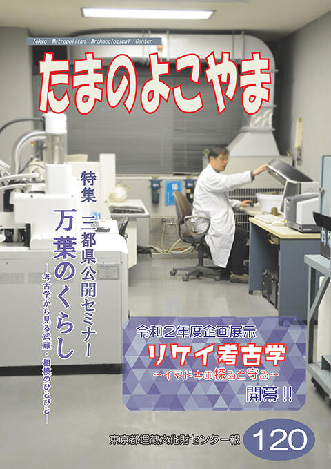 たまのよこやま120号