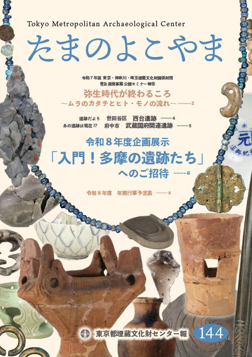 たまのよこやま