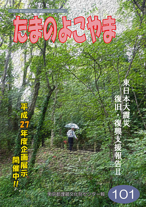 たまのよこやま101号