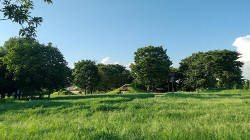 したのや縄文の里　夏景色_t.jpg
