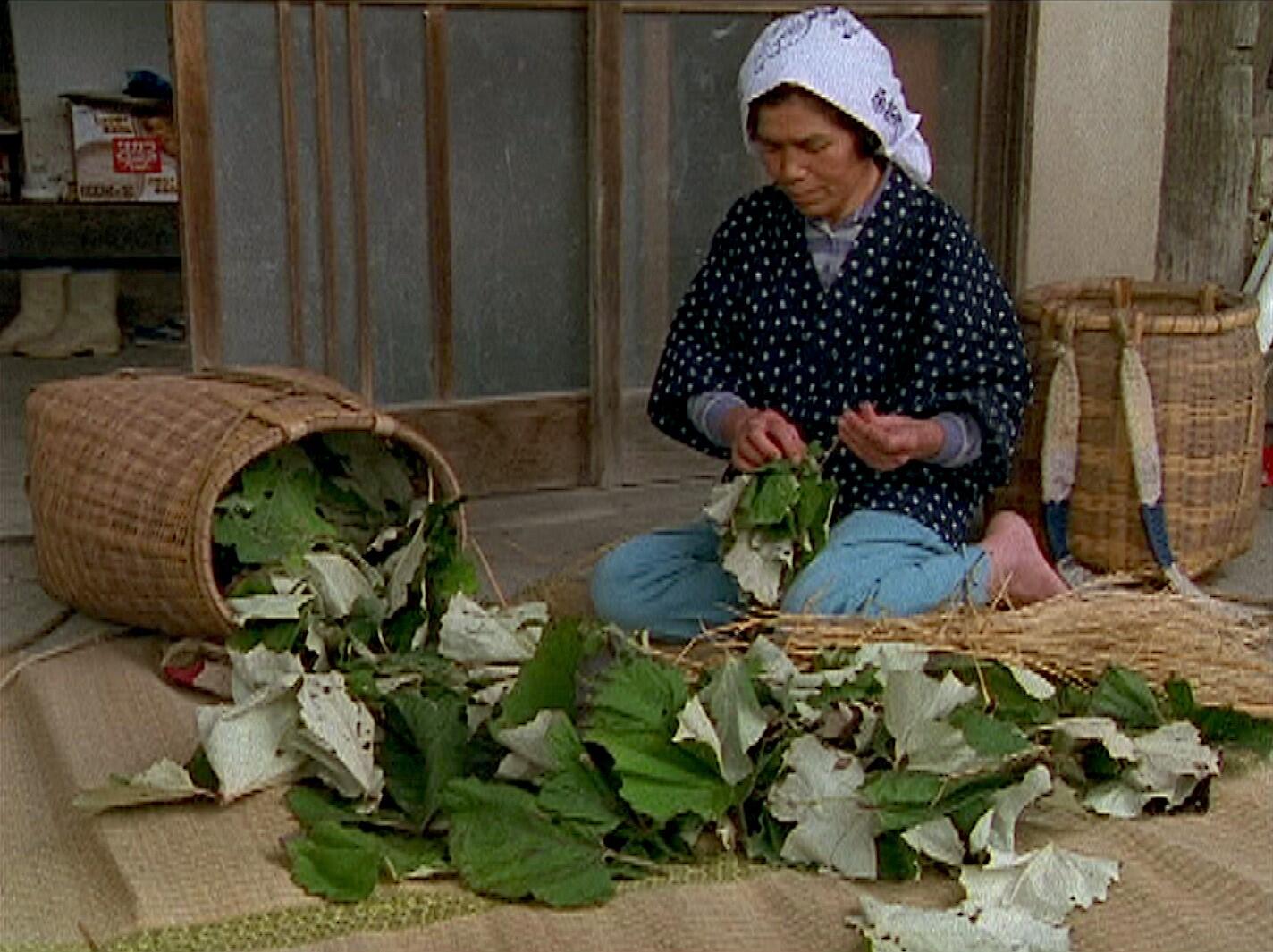 茂庭のくらし1.jpg