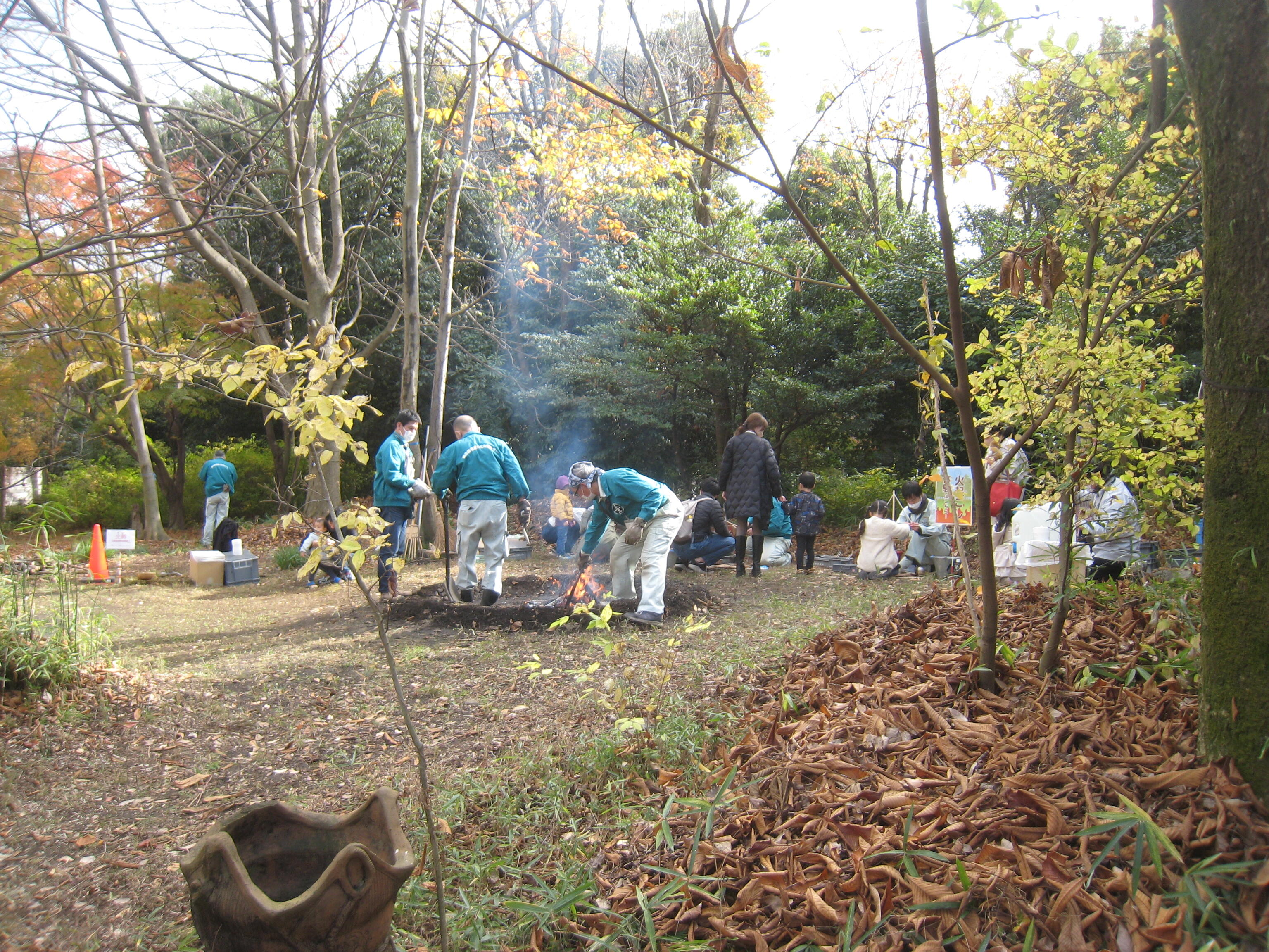 [申込不要]遺跡庭園解説会0